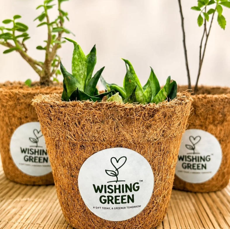 Eco Coco Coir Pots Pack