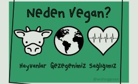 Neden Vegan Olmalıyız?